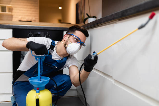Wasp Removal Services in District Heights, MD
