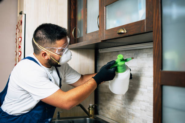 Best Bed Bug Extermination  in District Heights, MD