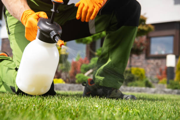 Best Mosquito Control Services  in District Heights, MD
