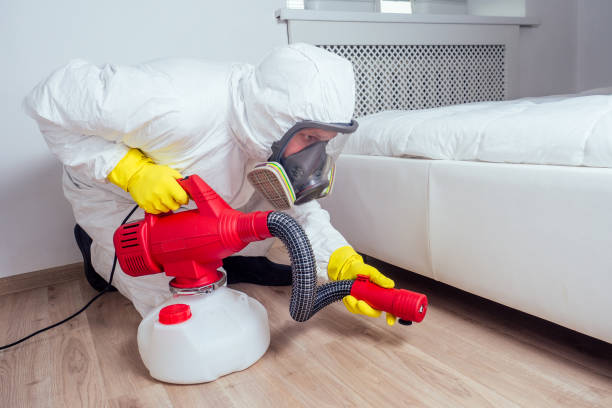 Best Exterminator Services  in District Heights, MD