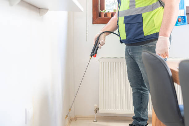 Best Wasp Removal Services  in District Heights, MD