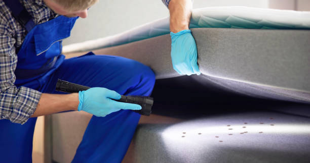 Trusted District Heights, MD Pest Control Experts