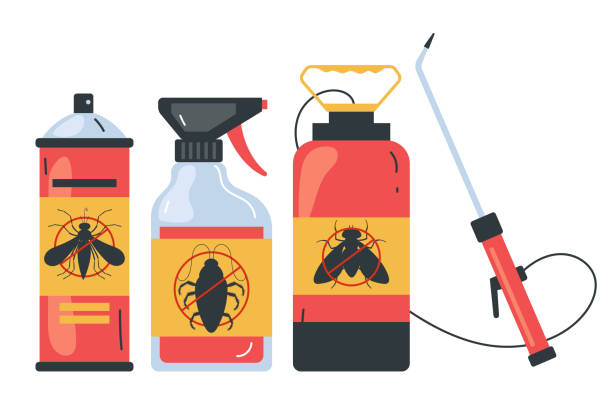 Best Affordable Pest Control Services  in District Heights, MD