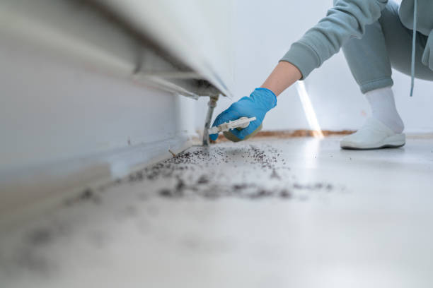 Best Pest Control Near Me  in District Heights, MD