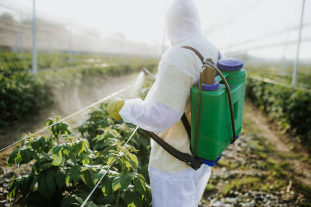Best Affordable Pest Control Services  in District Heights, MD